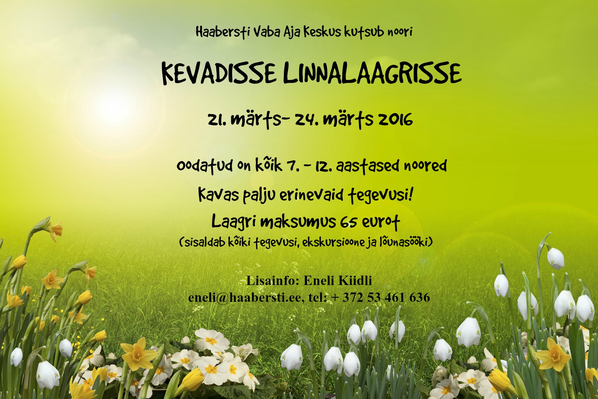 Linnalaagri plakat