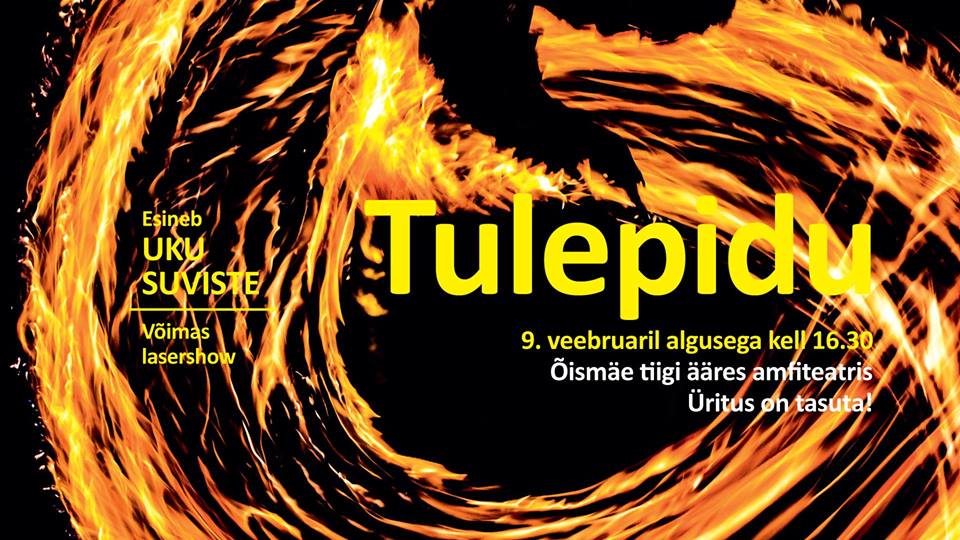 tulepidu2019